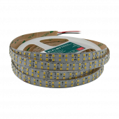 Светодиодная лента двухрядная ELFLED-240SMD 24B 6500-7000К белый (5м) 425363